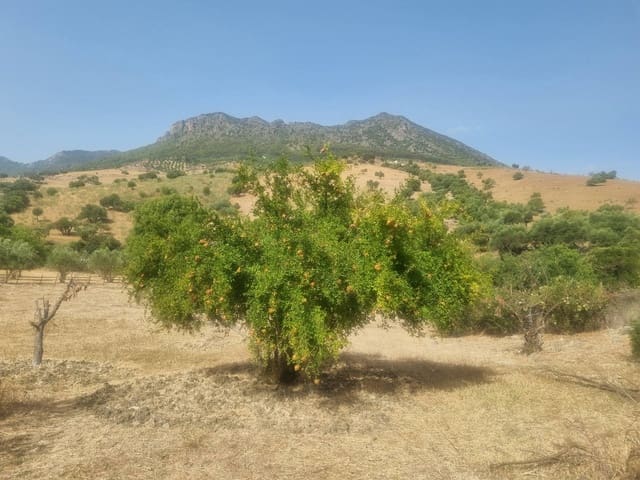 6 sypialnia Pensjonat na sprzedaż w Grazalema - 599 999 € (Ref: 8485461)