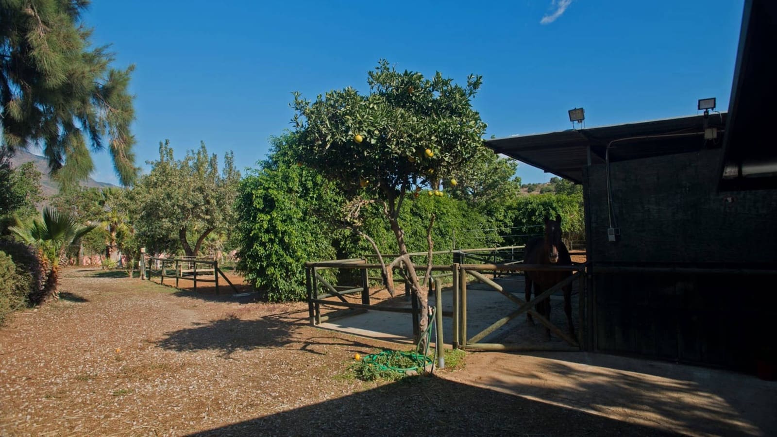 3 sypialnia Finka/Dom wiejski na sprzedaż w Estepona z basenem - 875 000 € (Ref: 8625705)