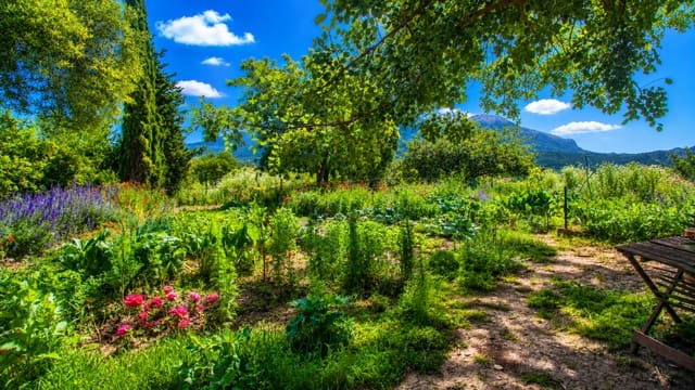 Finca/Casa Rural de 8 habitaciones en Gaucín en venta con piscina garaje - 2.490.000 € (Ref: 8845169)