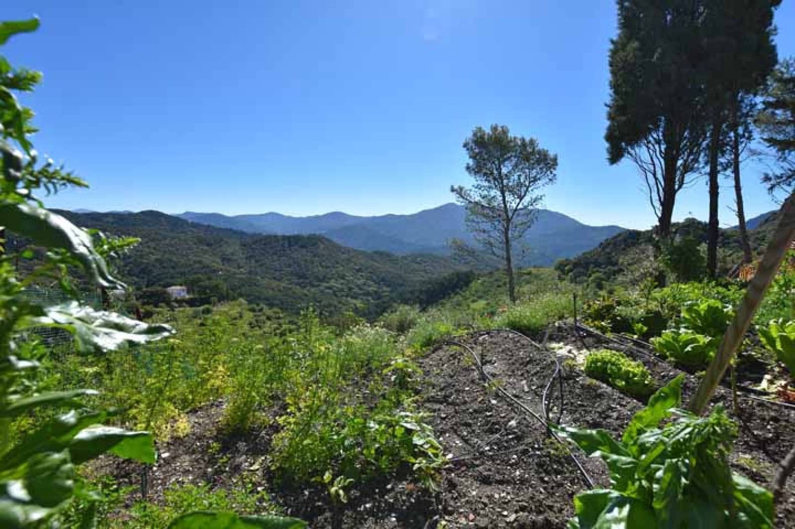 Grunde uden byggetilladelser til salg i Gaucin - € 310.000 (Ref: 8931760)