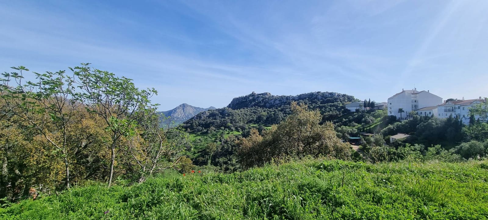 Grunde uden byggetilladelser til salg i Gaucin - € 310.000 (Ref: 8931760)