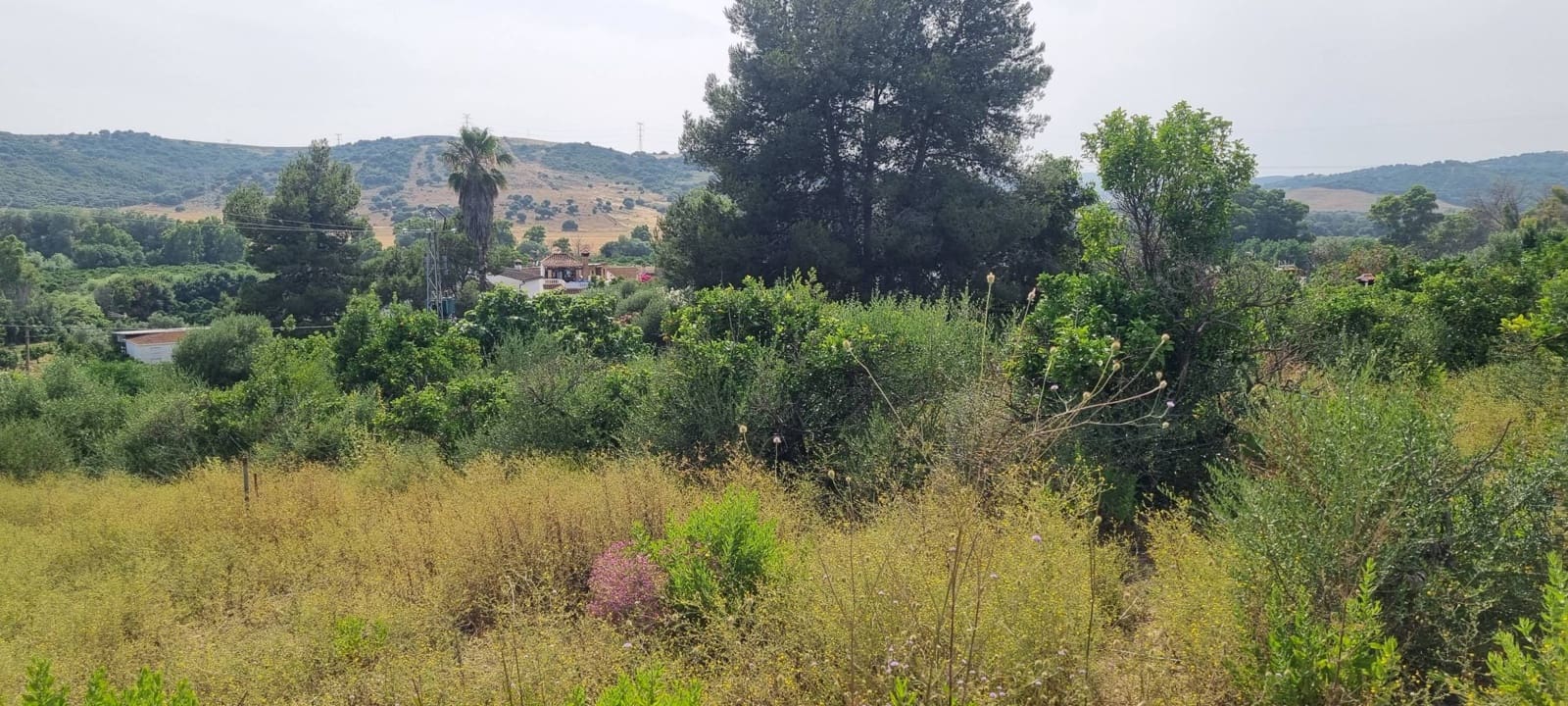 3 sypialnia Finka/Dom wiejski na sprzedaż w San Martin del Tesorillo - 600 000 € (Ref: 9081044)