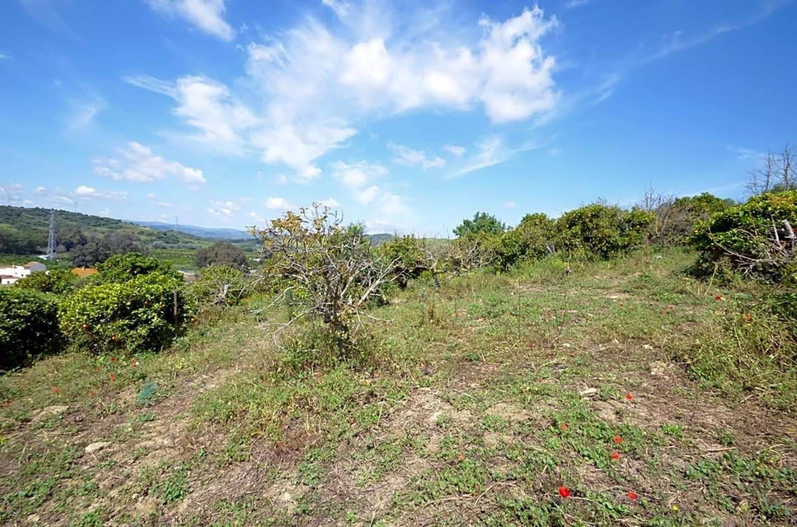 3 sypialnia Finka/Dom wiejski na sprzedaż w San Martin del Tesorillo - 600 000 € (Ref: 9081044)