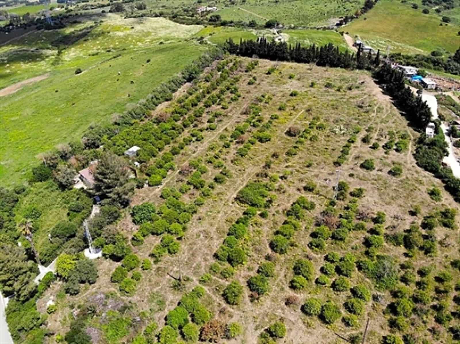 3 sypialnia Finka/Dom wiejski na sprzedaż w San Martin del Tesorillo - 600 000 € (Ref: 9081044)