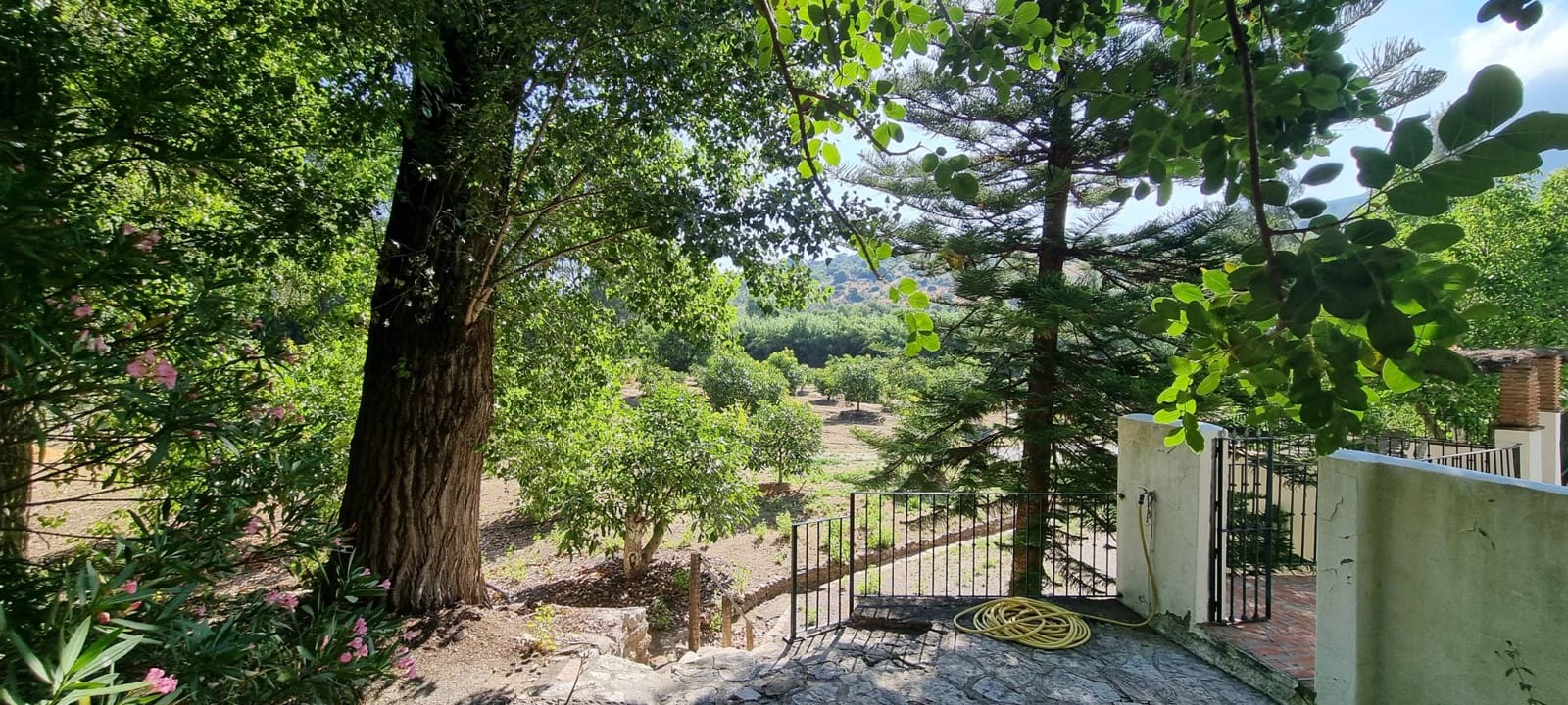 10 soverom Finca/Herregård til salgs i Gaucin med svømmebasseng - € 2 800 000 (Ref: 9097059)