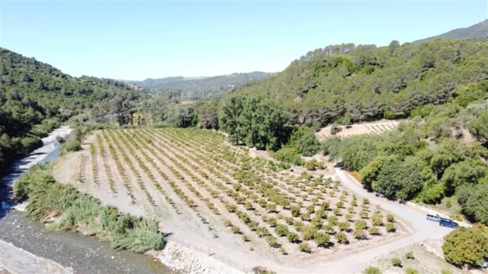 10 soverom Finca/Herregård til salgs i Gaucin med svømmebasseng - € 2 800 000 (Ref: 9097059)