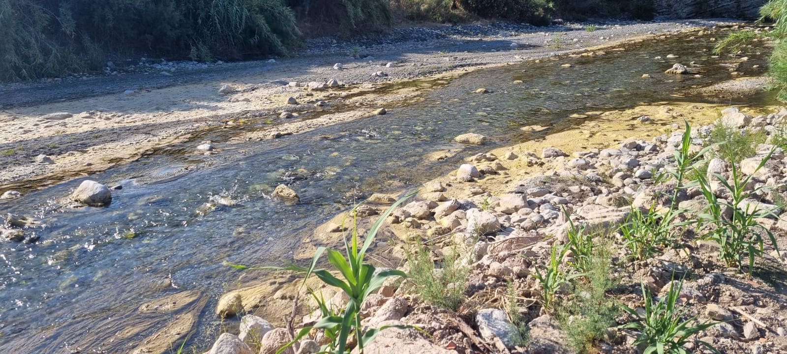 10 soverom Finca/Herregård til salgs i Gaucin med svømmebasseng - € 2 800 000 (Ref: 9097059)