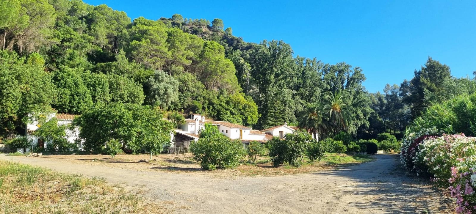 10 soverom Finca/Herregård til salgs i Gaucin med svømmebasseng - € 2 800 000 (Ref: 9097059)