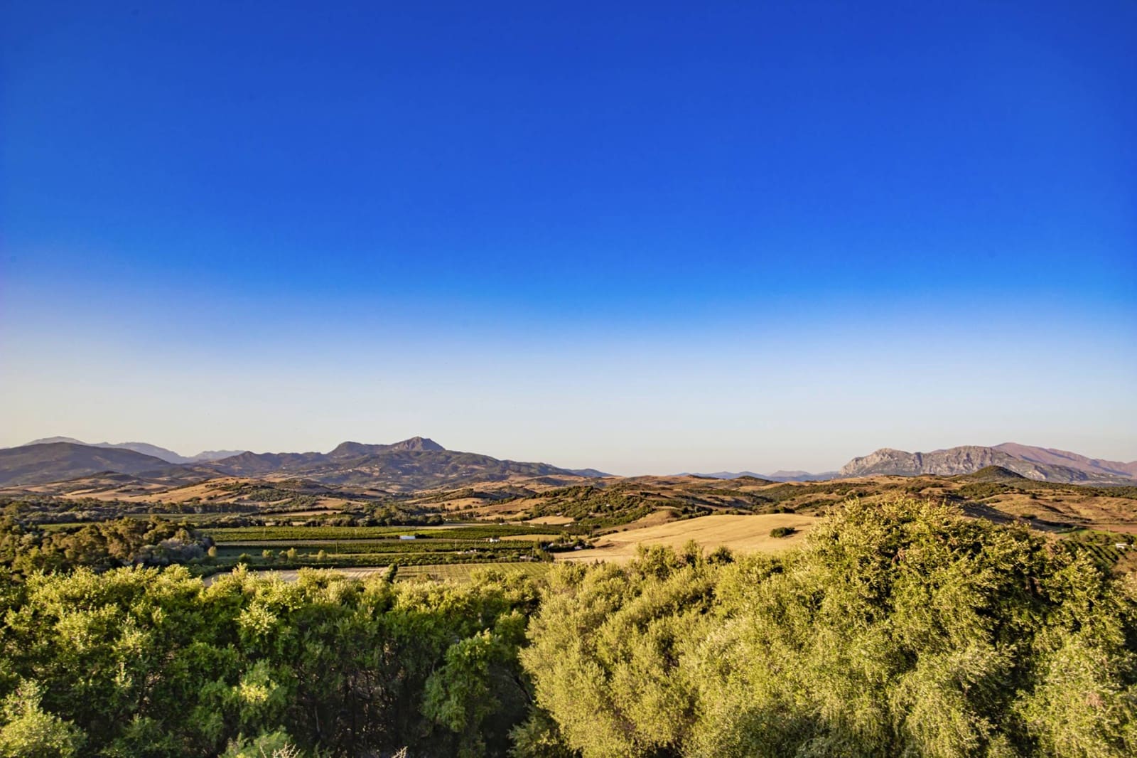 4 soveværelse Finca/Landehus til salg i Jimena de la Frontera med swimmingpool - € 1.495.000 (Ref: 9153020)