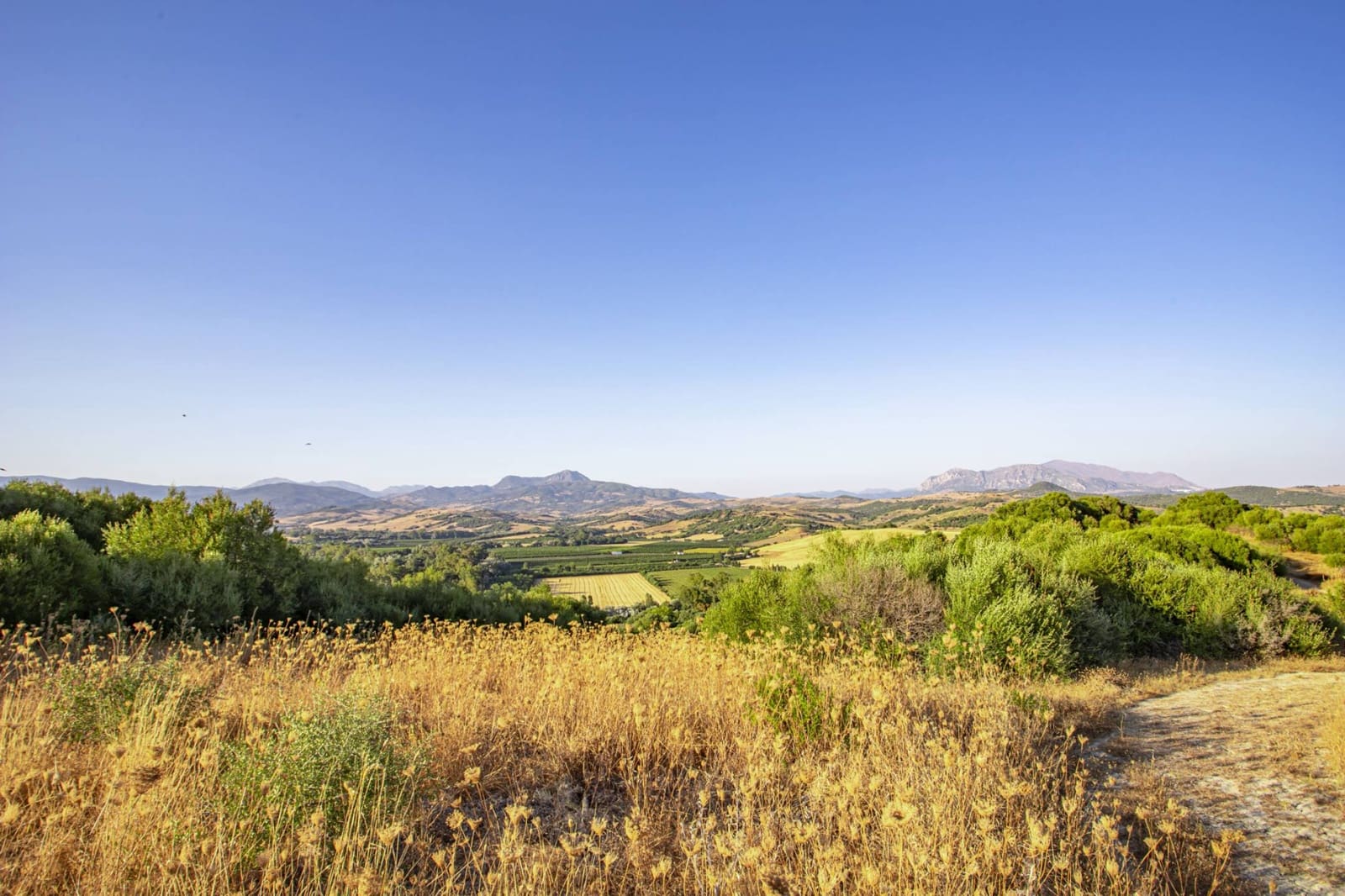 4 soveværelse Finca/Landehus til salg i Jimena de la Frontera med swimmingpool - € 1.495.000 (Ref: 9153020)