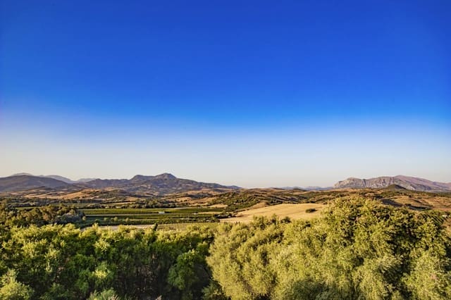 4 camera da letto Finca/Casa di Campagna in vendita in Jimena de la Frontera con piscina - 1.495.000 € (Rif: 9153020)