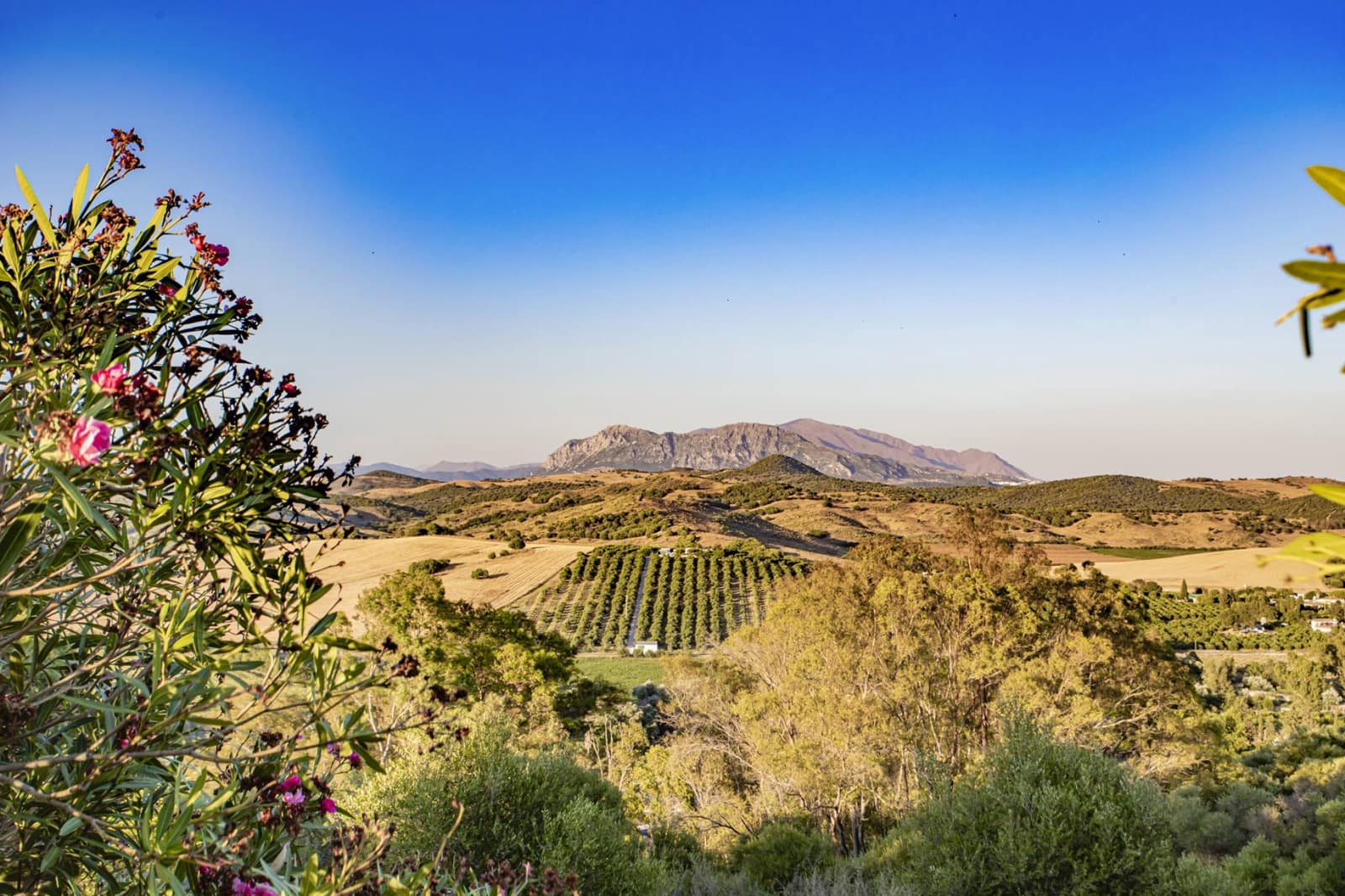 4 soveværelse Finca/Landehus til salg i Jimena de la Frontera med swimmingpool - € 1.495.000 (Ref: 9153020)