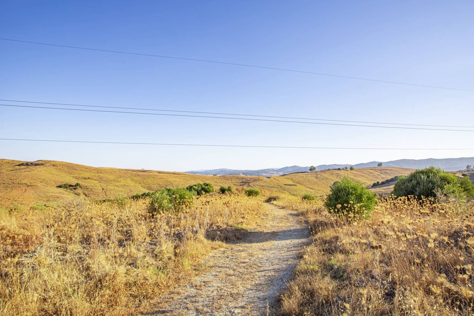 4 soveværelse Finca/Landehus til salg i Jimena de la Frontera med swimmingpool - € 1.495.000 (Ref: 9153020)