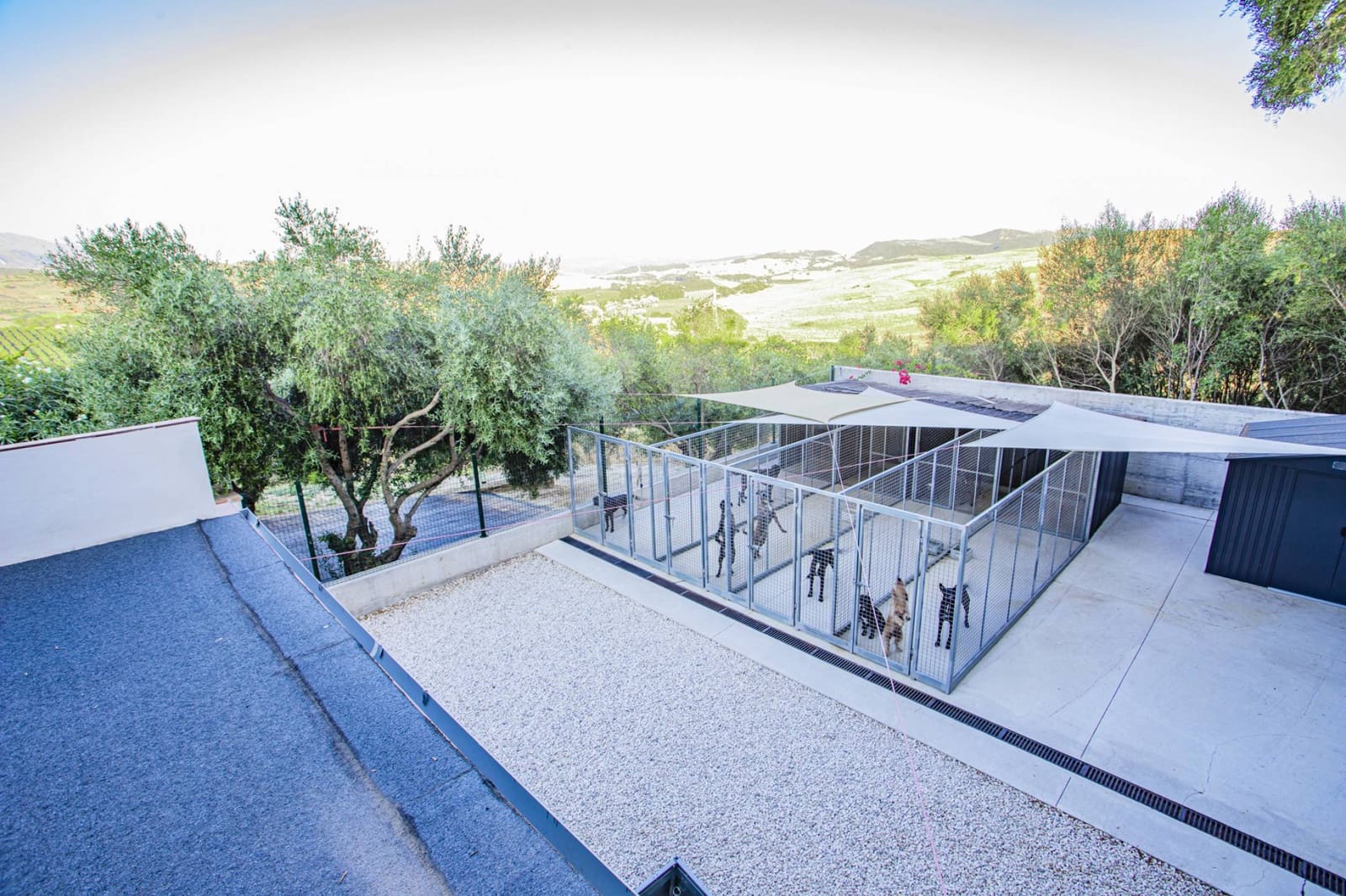 4 soveværelse Finca/Landehus til salg i Jimena de la Frontera med swimmingpool - € 1.495.000 (Ref: 9153020)