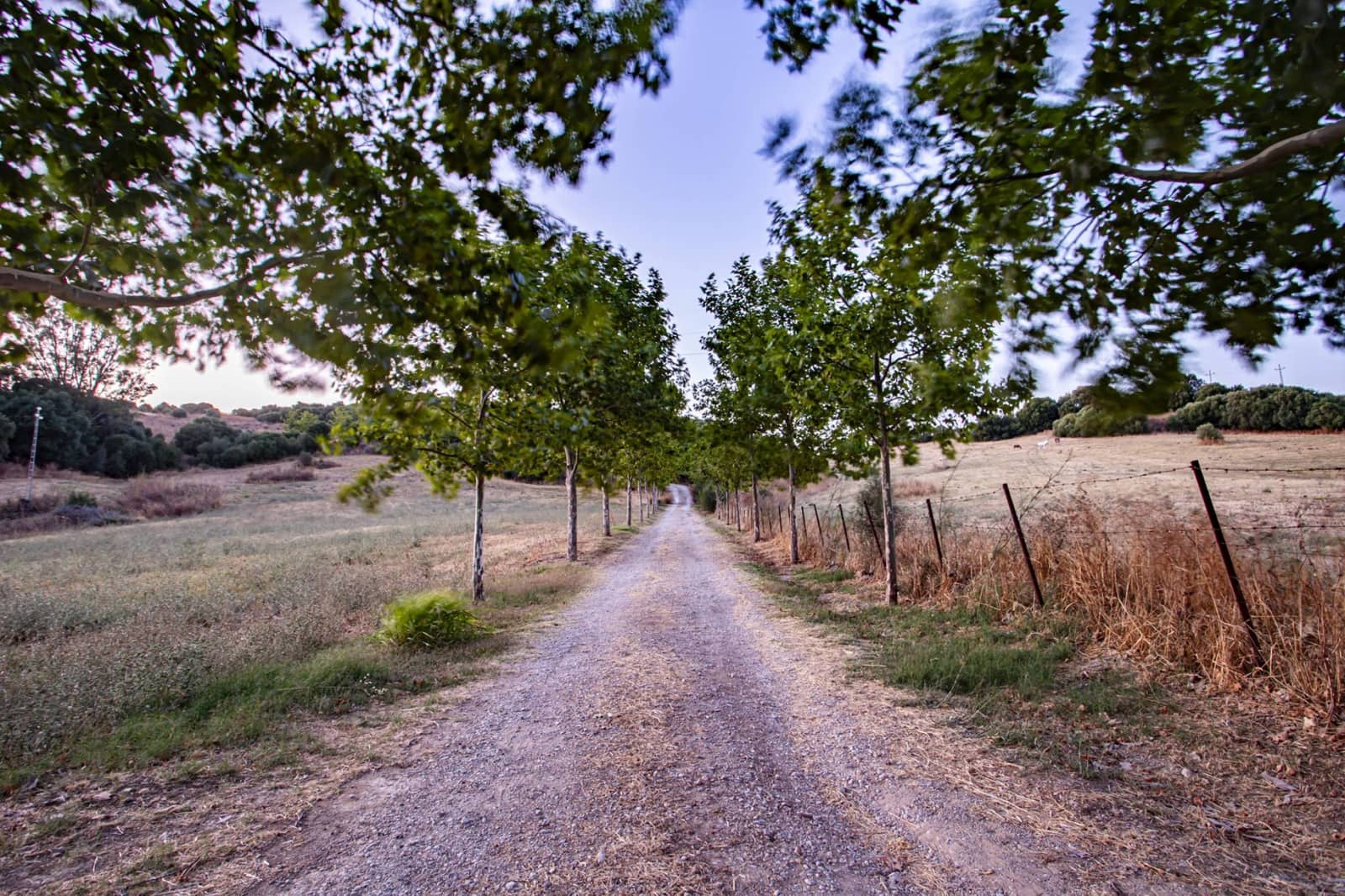 4 soveværelse Finca/Landehus til salg i Jimena de la Frontera med swimmingpool - € 1.495.000 (Ref: 9153020)