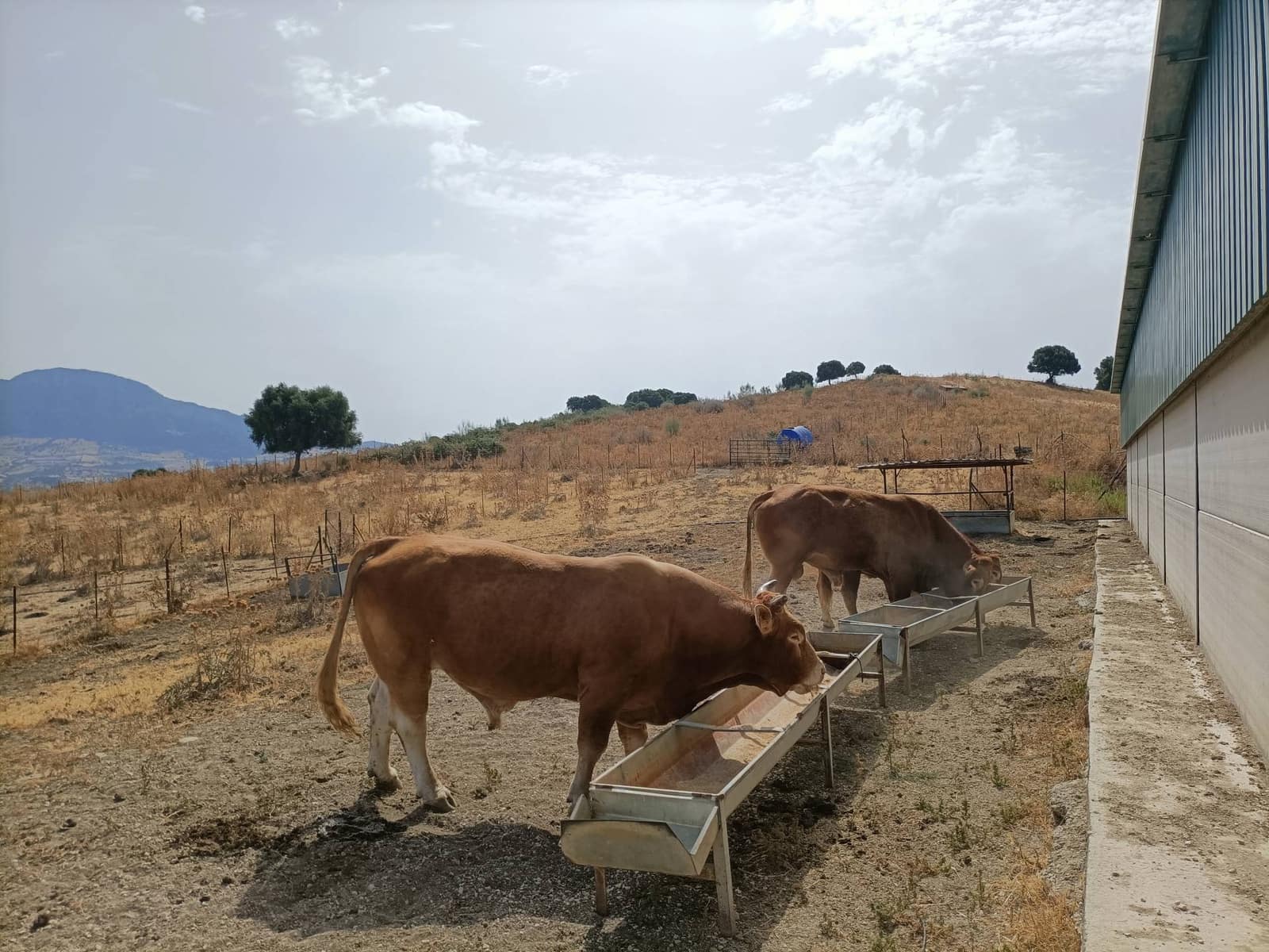 Finca/Landehus til salg i Gaucin - € 3.045.000 (Ref: 9177595)