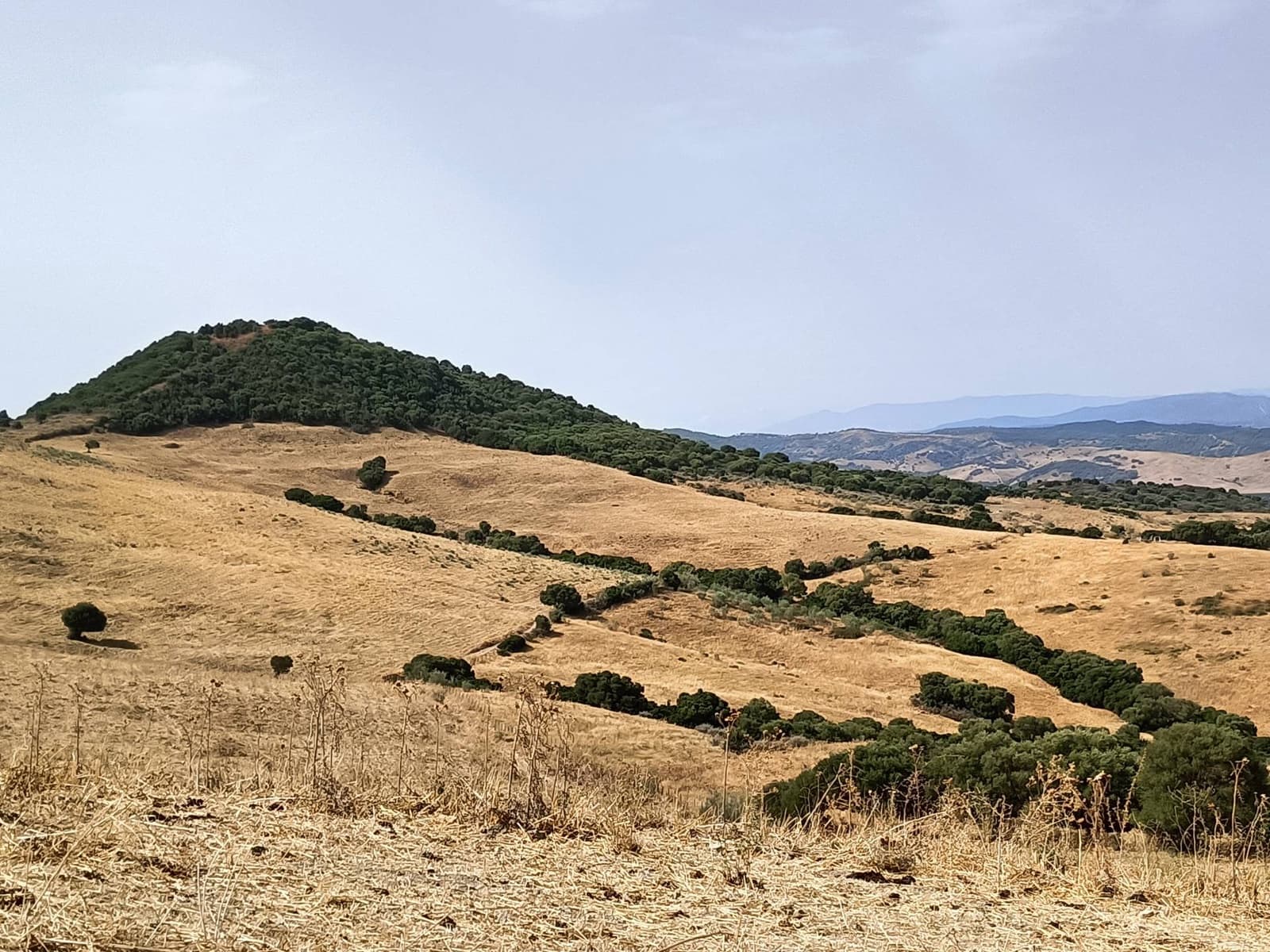 Finca/Landehus til salg i Gaucin - € 3.045.000 (Ref: 9177595)