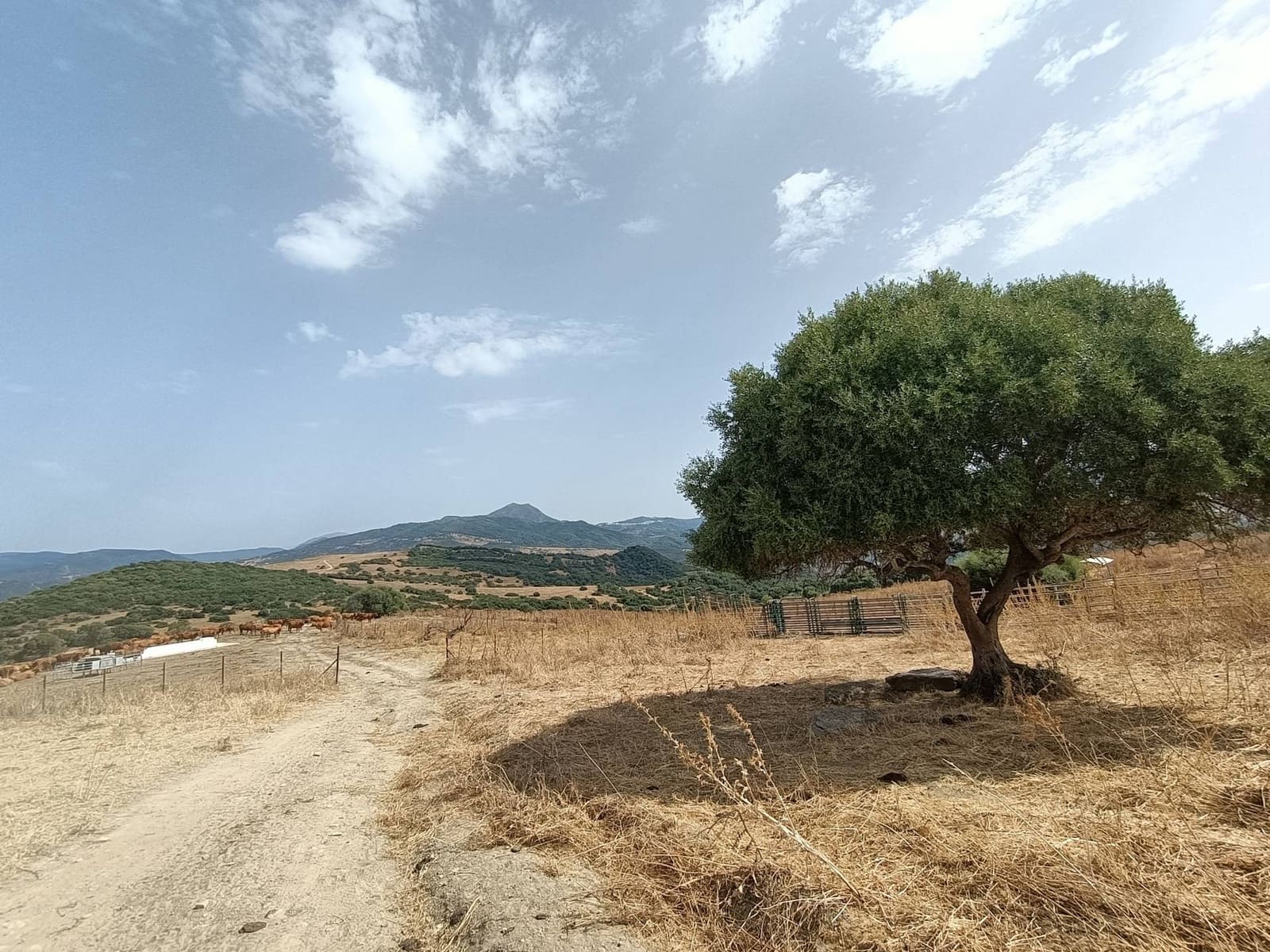 Finca/Landehus til salg i Gaucin - € 3.045.000 (Ref: 9177595)