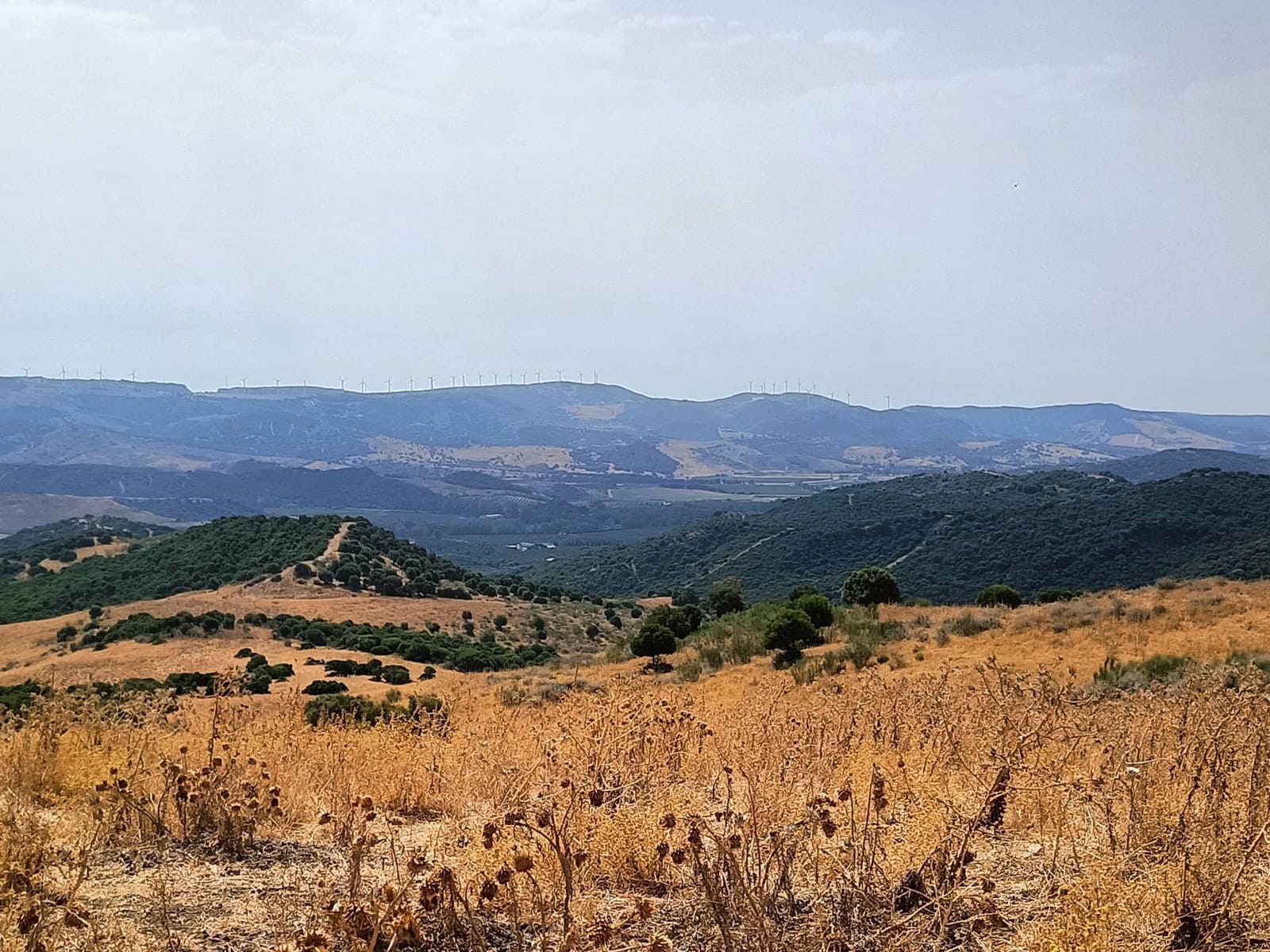 Finca/Landehus til salg i Gaucin - € 3.045.000 (Ref: 9177595)