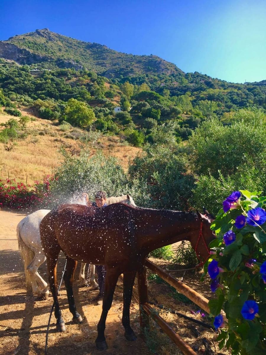 5 soveværelse Finca/Landehus til salg i Gaucin med swimmingpool - € 890.000 (Ref: 9198649)