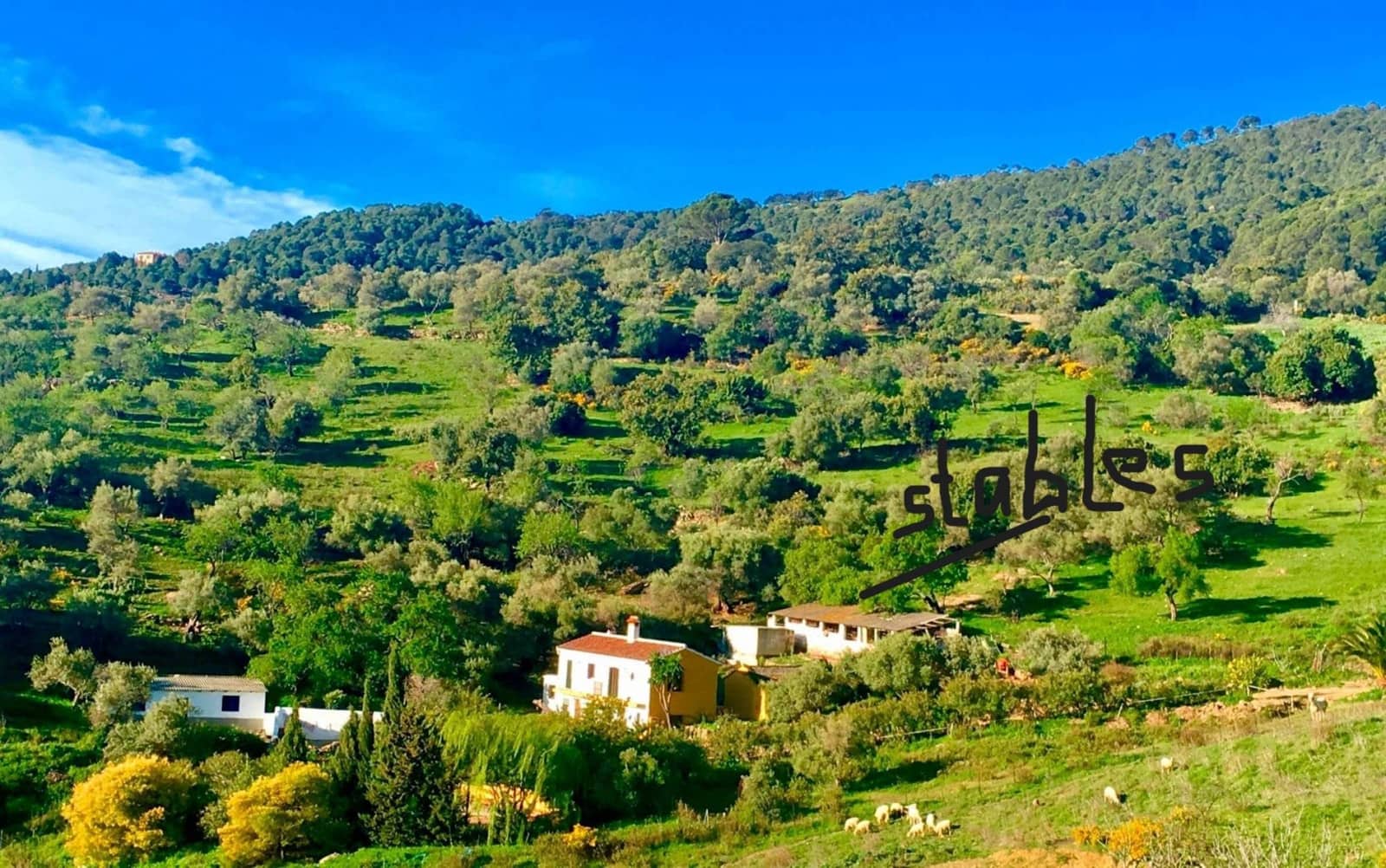 5 soveværelse Finca/Landehus til salg i Gaucin med swimmingpool - € 890.000 (Ref: 9198649)