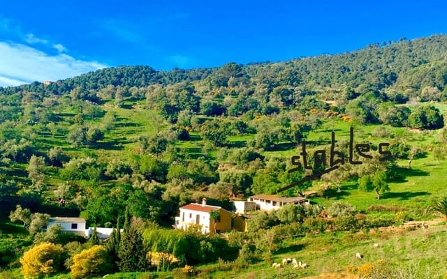 5 soveværelse Finca/Landehus til salg i Gaucín med swimmingpool - € 890.000 (Ref: 9198649)