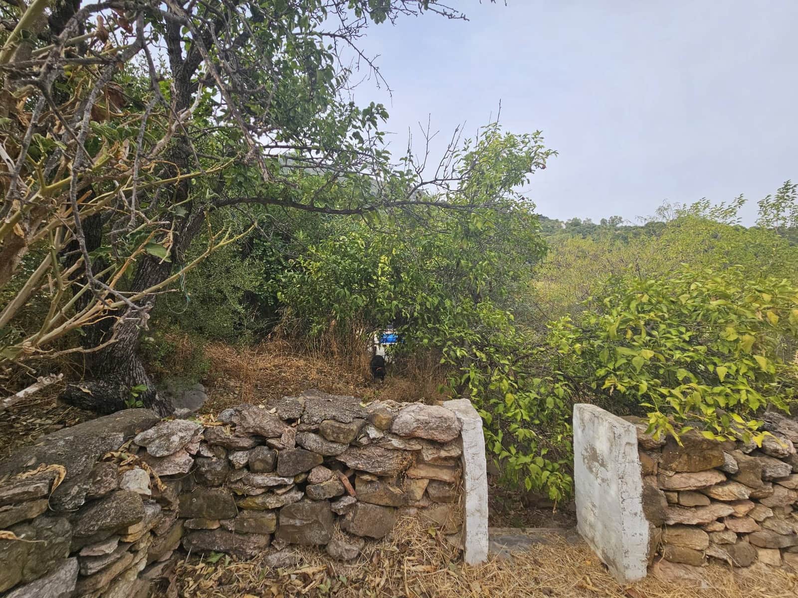 5 soveværelse Finca/Landehus til salg i Gaucin med swimmingpool - € 890.000 (Ref: 9198649)