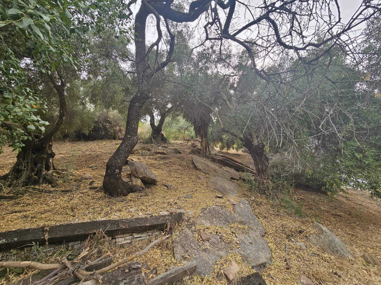 5 soveværelse Finca/Landehus til salg i Gaucin med swimmingpool - € 890.000 (Ref: 9198649)