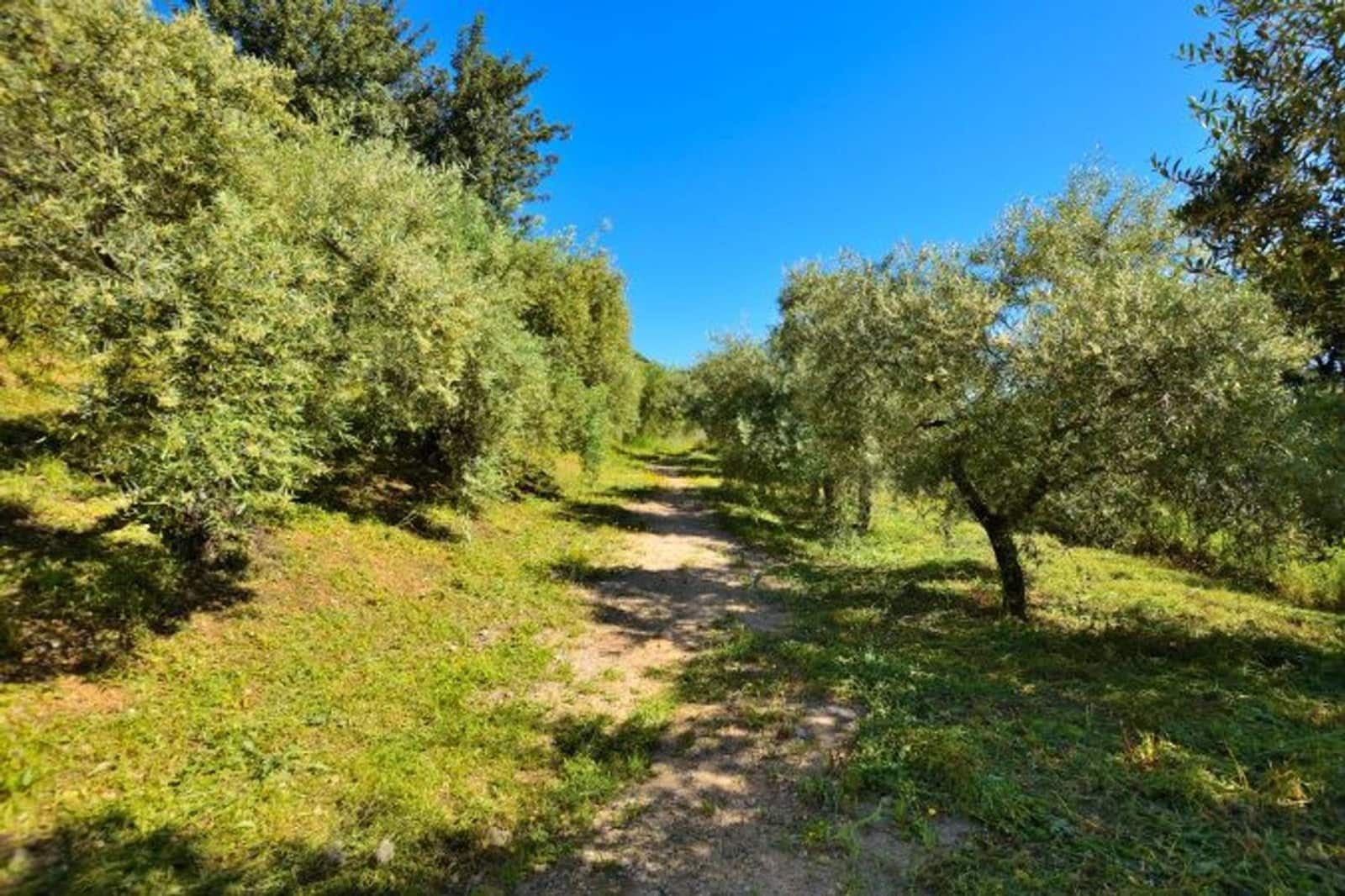 5 slaapkamer Finca/Landhuis te koop in Zahara de la Sierra met zwembad - € 470.000 (Ref: 9205632)