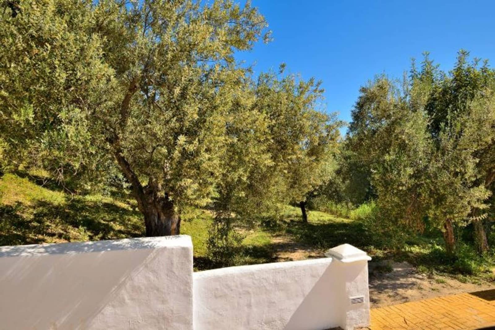 5 slaapkamer Finca/Landhuis te koop in Zahara de la Sierra met zwembad - € 470.000 (Ref: 9205632)