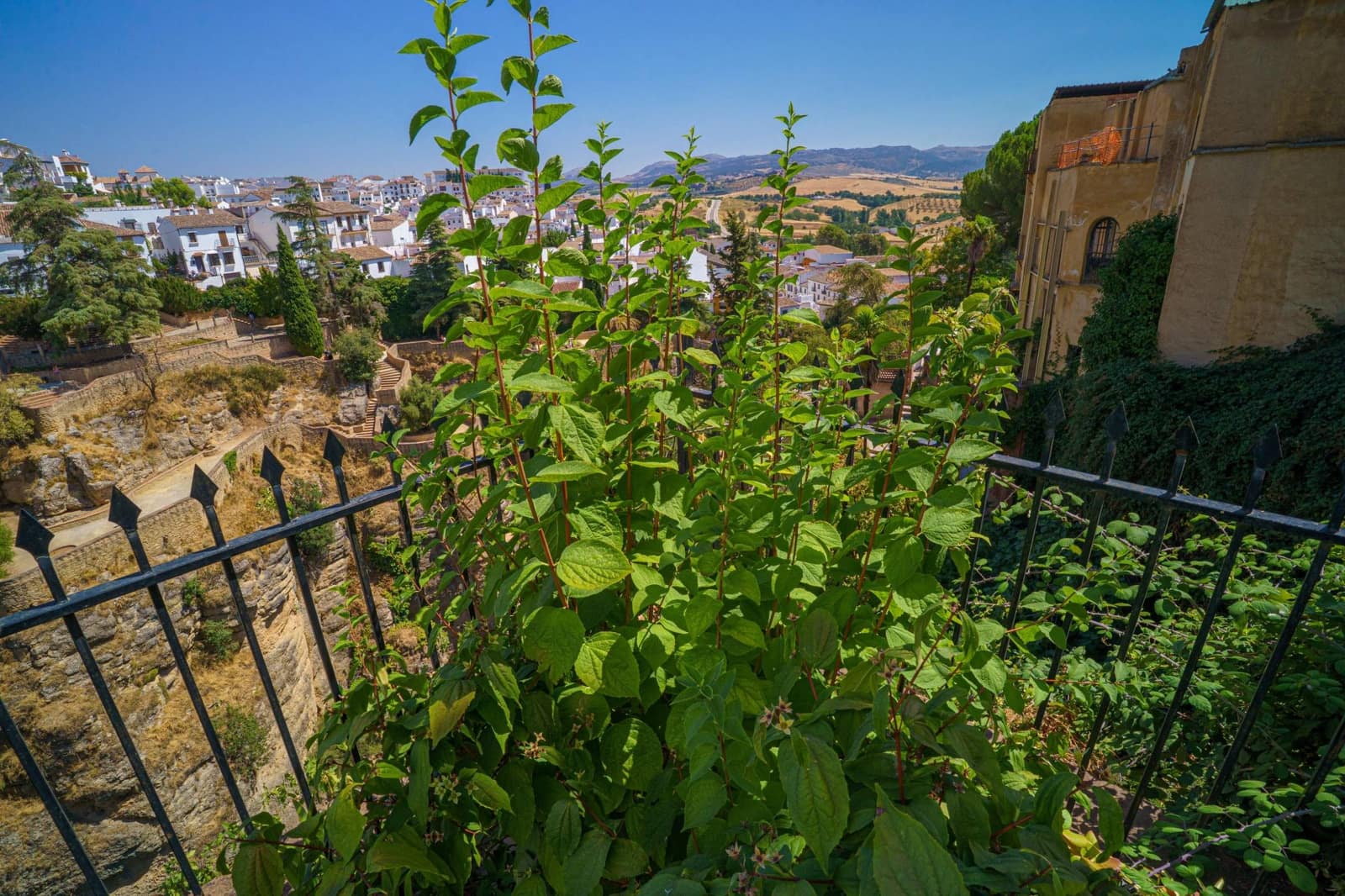4 slaapkamer Huis te koop in Ronda - € 1.650.000 (Ref: 9228002)