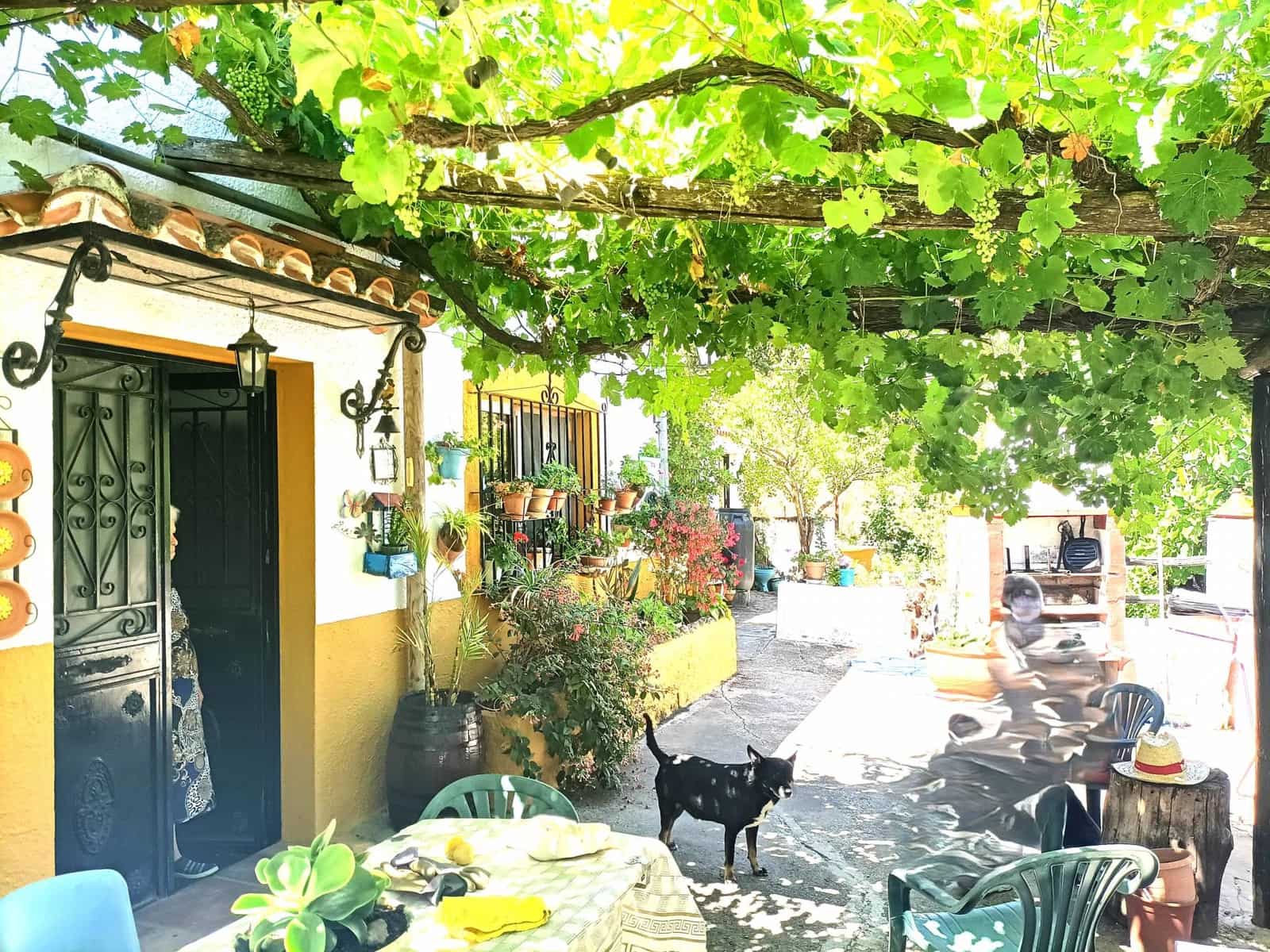 3 soveværelse Finca/Landehus til salg i Benadalid - € 170.000 (Ref: 9235820)