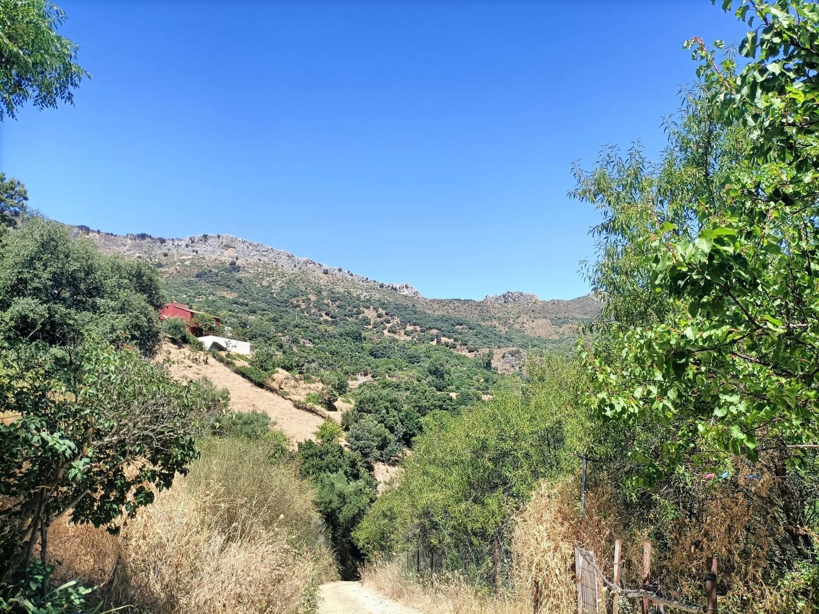 Finca/Casa Rural de 3 habitaciones en Benadalid en venta - 170.000 € (Ref: 9235820)