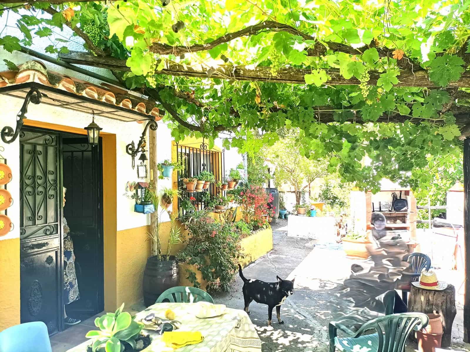 Finca/Casa Rural de 3 habitaciones en Benadalid en venta - 170.000 € (Ref: 9235820)