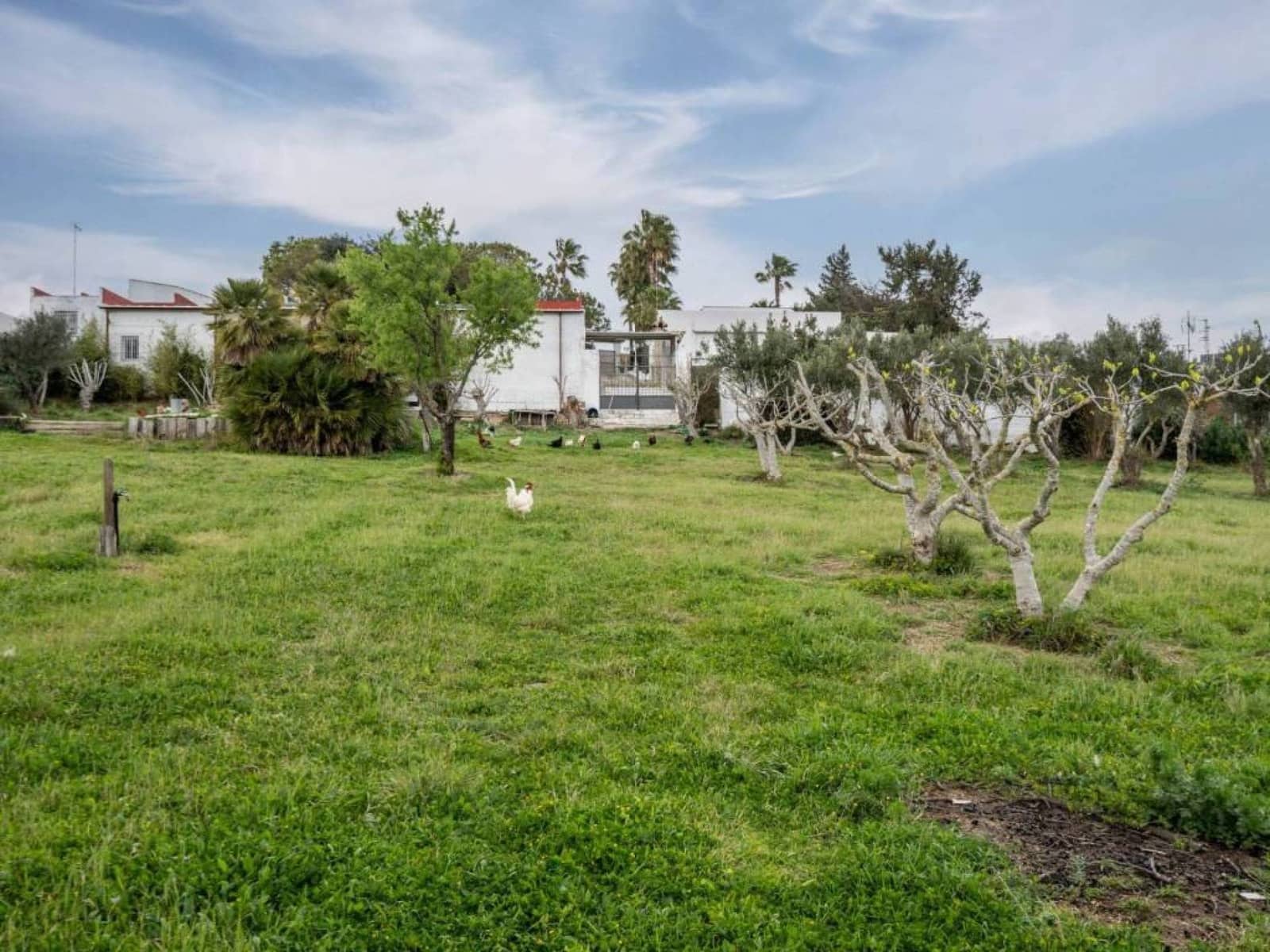 4 soveværelse Finca/Landehus til salg i Chiclana de la Frontera med swimmingpool - € 599.000 (Ref: 9287292)