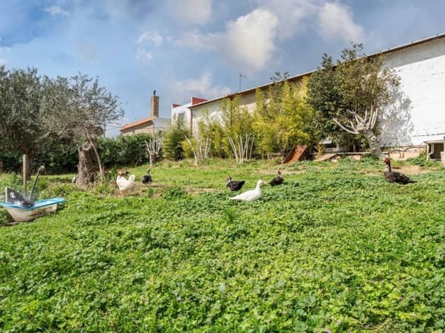 4 slaapkamer Finca/Landhuis te koop in Chiclana de la Frontera met zwembad - € 599.000 (Ref: 9287292)