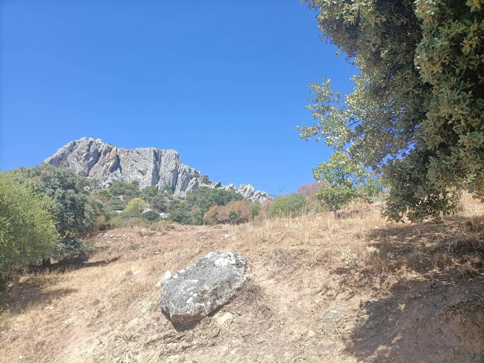 2 quarto Quinta/Casa Rural para venda em Benalauria - 170 000 € (Ref: 9287363)