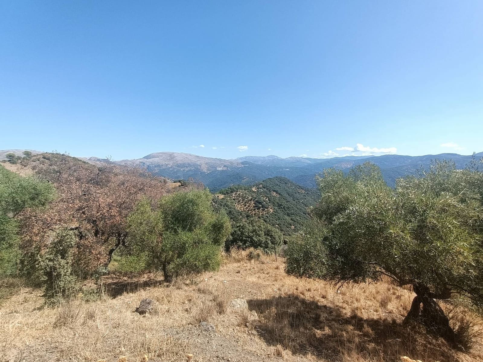 2 quarto Quinta/Casa Rural para venda em Benalauria - 170 000 € (Ref: 9287363)