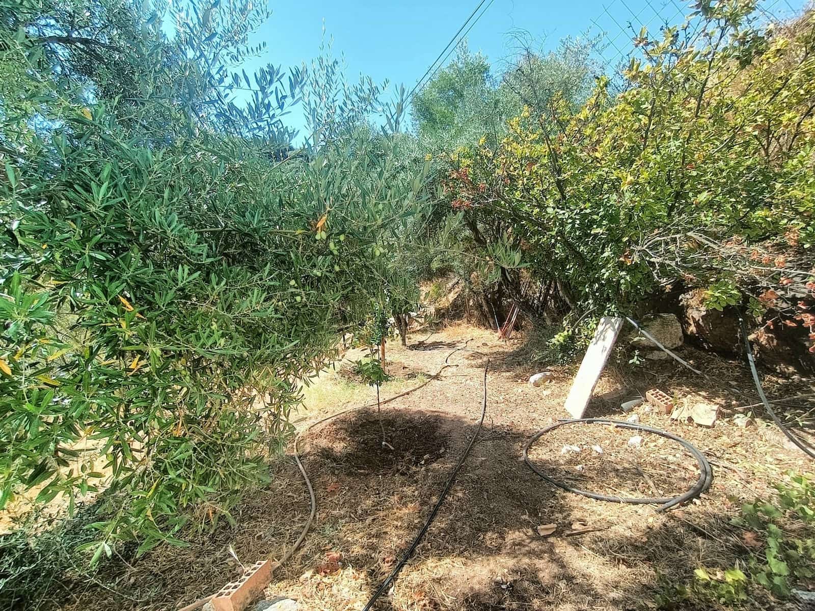 2 quarto Quinta/Casa Rural para venda em Benalauria - 170 000 € (Ref: 9287363)