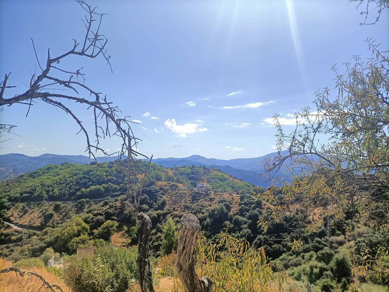 2 quarto Quinta/Casa Rural para venda em Benalauria - 170 000 € (Ref: 9287363)