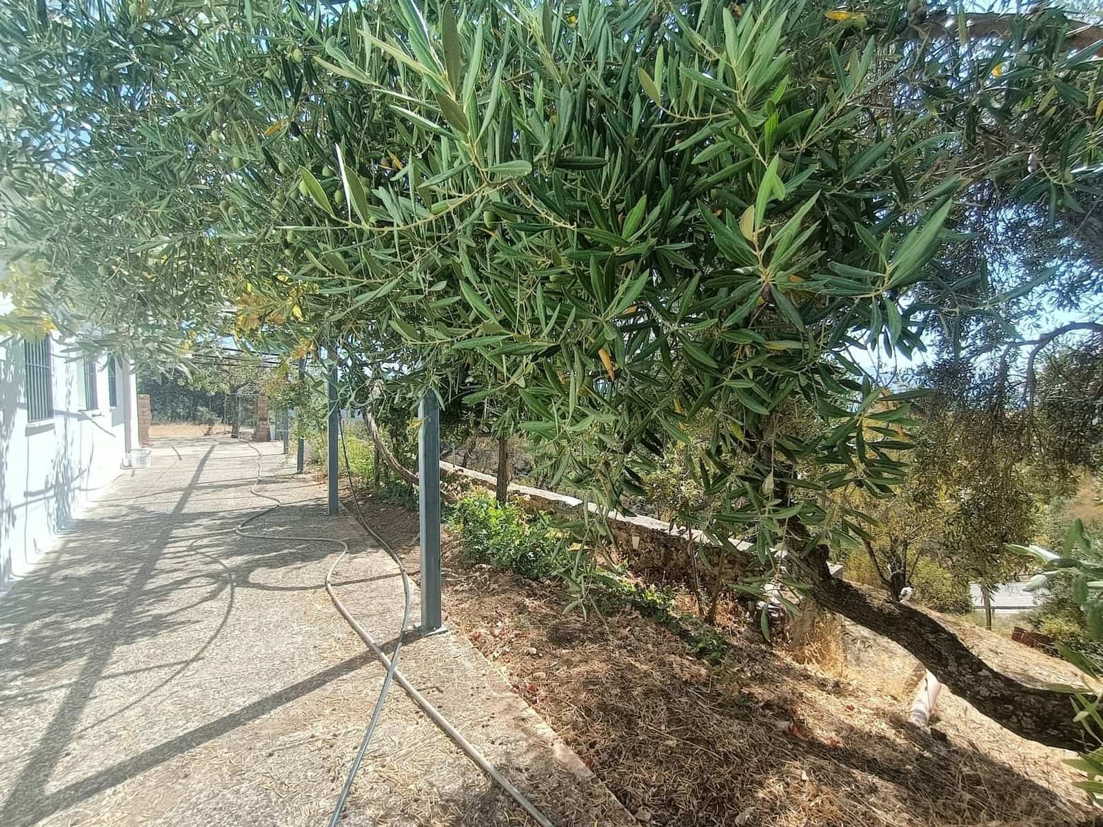 2 quarto Quinta/Casa Rural para venda em Benalauria - 170 000 € (Ref: 9287363)