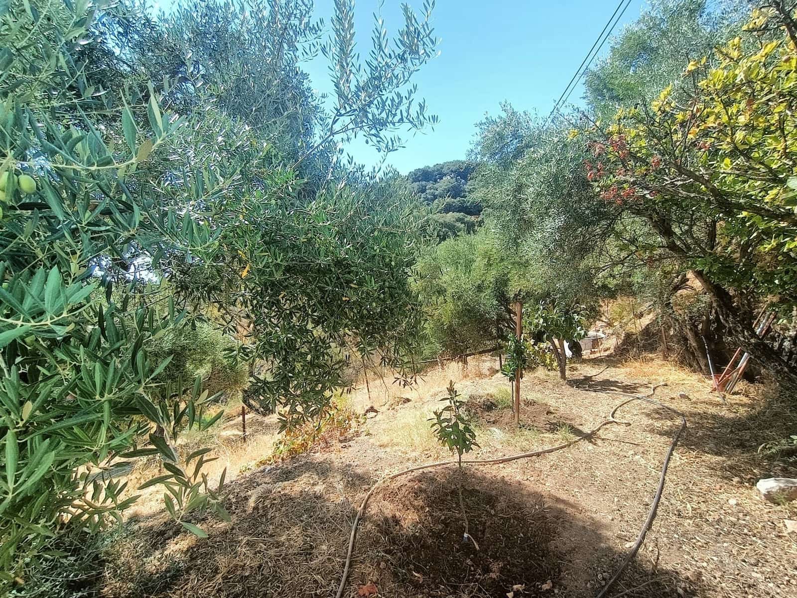 2 quarto Quinta/Casa Rural para venda em Benalauria - 170 000 € (Ref: 9287363)