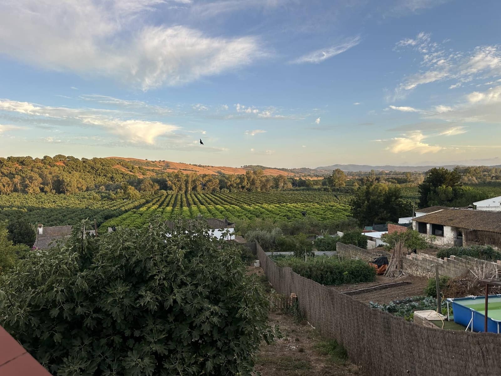 5 bedroom Townhouse for sale in San Pablo de Buceite - € 199,000 (Ref: 9296381)