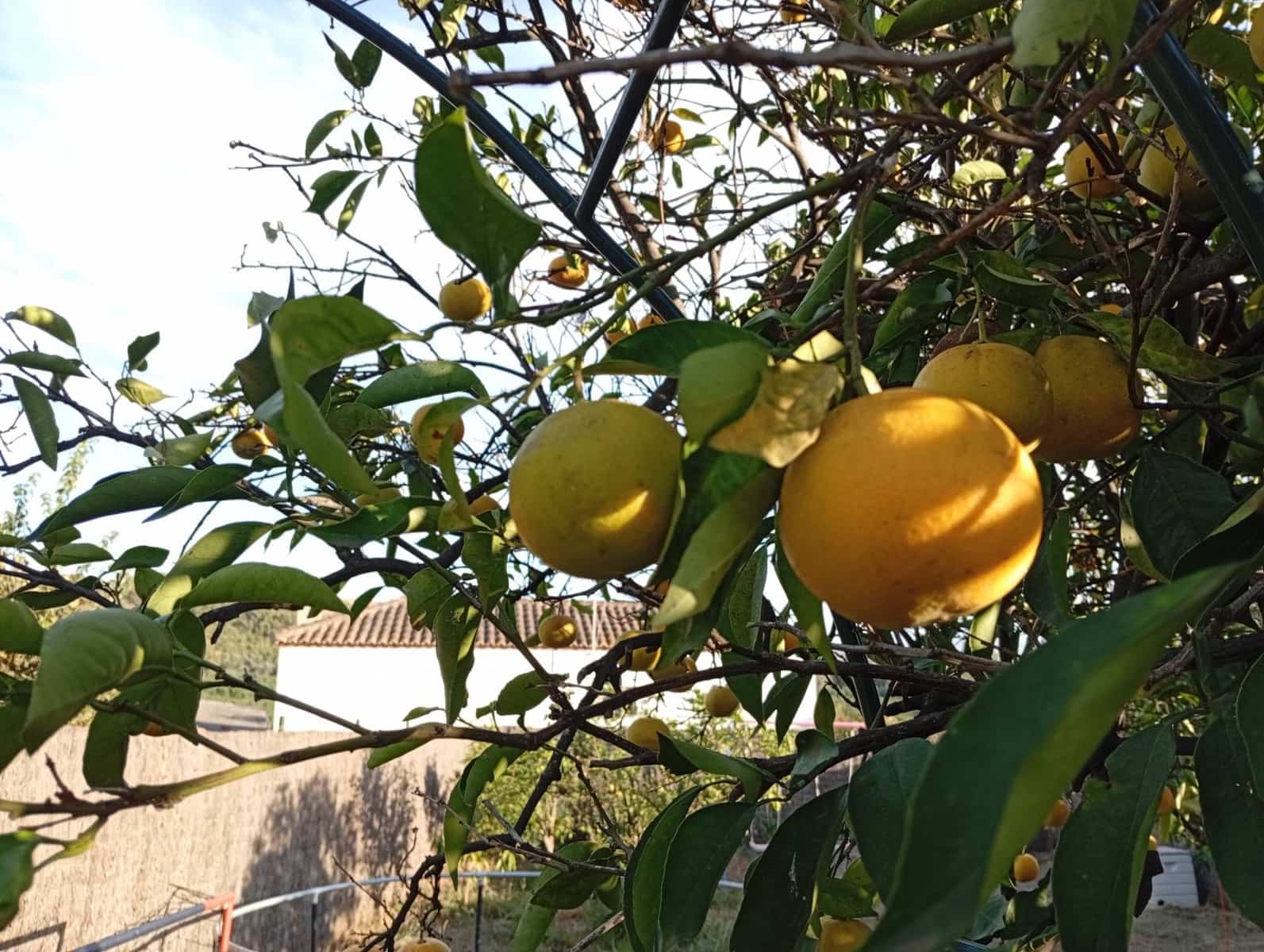 5 bedroom Townhouse for sale in San Pablo de Buceite - € 199,000 (Ref: 9296381)