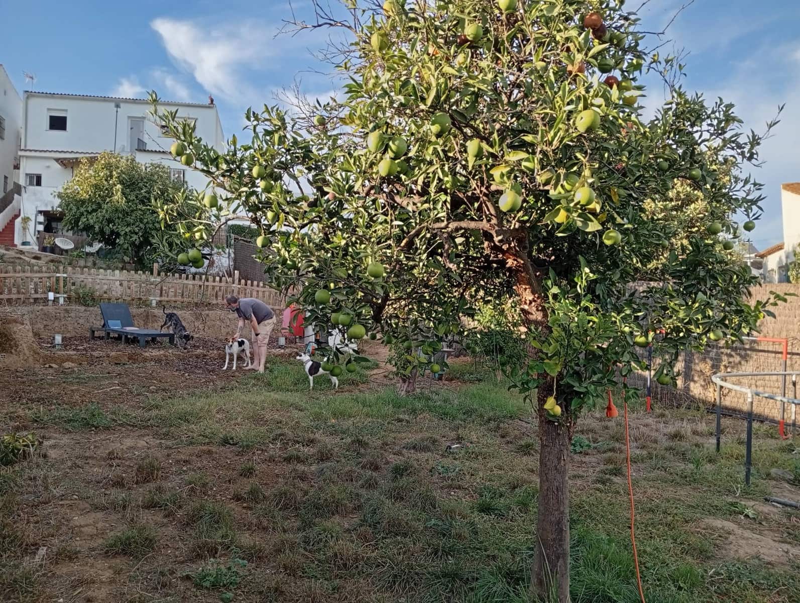 5 bedroom Townhouse for sale in San Pablo de Buceite - € 199,000 (Ref: 9296381)