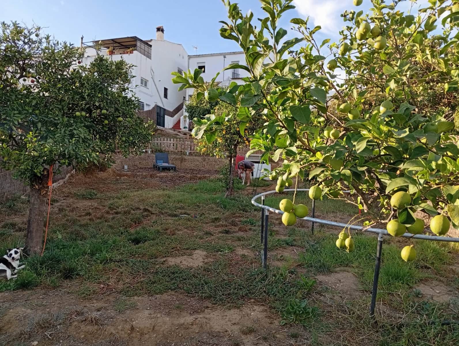 5 bedroom Townhouse for sale in San Pablo de Buceite - € 199,000 (Ref: 9296381)