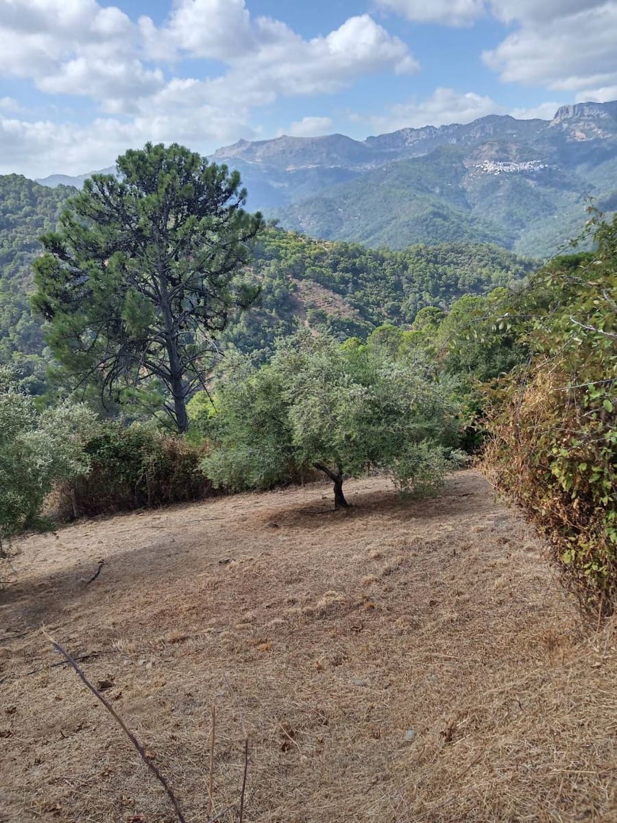 2 bedroom Finca/Country House for sale in Jubrique - € 447,000 (Ref: 9326763)