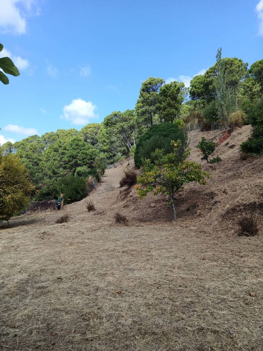 2 bedroom Finca/Country House for sale in Jubrique - € 447,000 (Ref: 9326763)