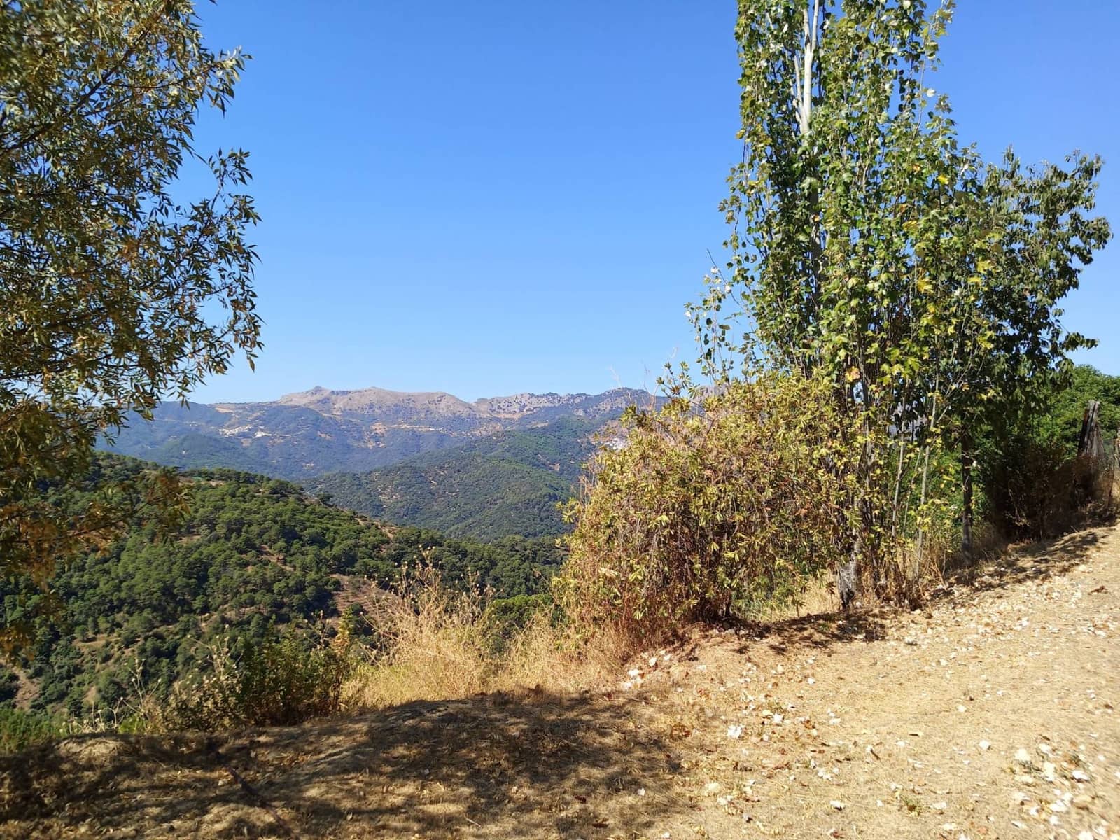 2 bedroom Finca/Country House for sale in Jubrique - € 447,000 (Ref: 9326763)