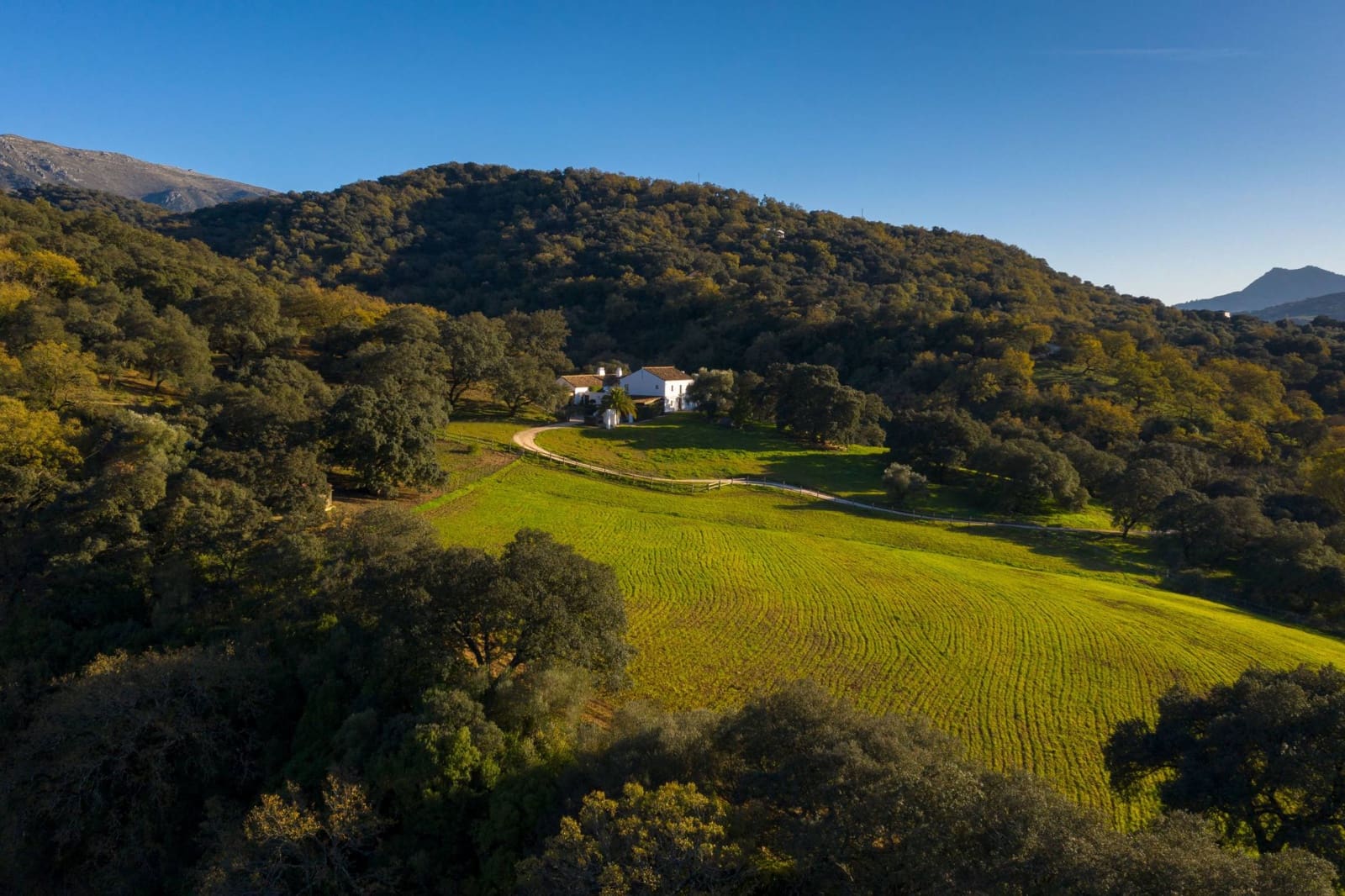 4 camera da letto Finca/Casa di Campagna in vendita in Gaucin con piscina - 3.950.000 € (Rif: 9392067)